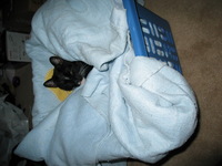 Canon PowerShot G3, 2005:01:22 18:48:44 -- 1/60 sec, f/2.0.  Flash, Auto, Red-Eye Reduce.2272x1704 Red-Eye Reduction (Auto).