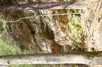 Canon EOS DIGITAL REBEL, 2005:04:17 10:58:14 -- 1/60 sec, f/5.0.  No Flash.3072x2048 Off.