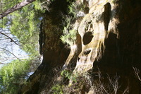 Canon EOS DIGITAL REBEL, 2005:04:17 10:59:42 -- 1/80 sec, f/5.0.  No Flash.3072x2048 Off.