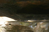 Canon EOS DIGITAL REBEL, 2005:04:17 11:07:24 -- 0.8 sec, f/25.0.  No Flash.3072x2048 Off.