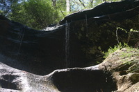 Canon EOS DIGITAL REBEL, 2005:04:17 11:10:45 -- 1/30 sec, f/11.0.  No Flash.3072x2048 Off.