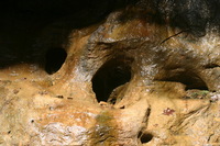 Canon EOS DIGITAL REBEL, 2005:04:17 11:11:10 -- 1/30 sec, f/11.0.  No Flash.3072x2048 Off.