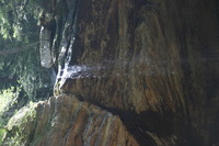 Canon EOS DIGITAL REBEL, 2005:04:17 11:15:21 -- 1/60 sec, f/4.0.  No Flash.3072x2048 Off.