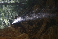 Canon EOS DIGITAL REBEL, 2005:04:17 11:16:07 -- 1/100 sec, f/4.0.  No Flash.3072x2048 Off.