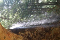 Canon EOS DIGITAL REBEL, 2005:04:17 11:16:47 -- 1/40 sec, f/4.0.  No Flash.3072x2048 Off.