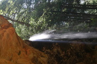 Canon EOS DIGITAL REBEL, 2005:04:17 11:17:40 -- 0.3 sec, f/22.0.  No Flash.3072x2048 Off.