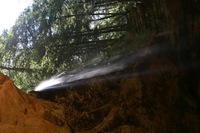 Canon EOS DIGITAL REBEL, 2005:04:17 11:18:34 -- 0.3 sec, f/22.0.  No Flash.3072x2048 Off.