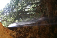 Canon EOS DIGITAL REBEL, 2005:04:17 11:18:55 -- 0.6 sec, f/22.0.  No Flash.3072x2048 Off.