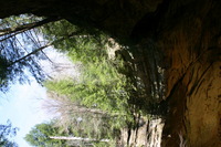 Canon EOS DIGITAL REBEL, 2005:04:17 11:24:10 -- 1/100 sec, f/5.6.  No Flash.3072x2048 Off.