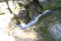 Canon EOS DIGITAL REBEL, 2005:04:17 11:27:36 -- 1/50 sec, f/4.5.  No Flash.3072x2048 Off.