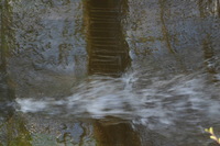 Canon EOS DIGITAL REBEL, 2005:04:17 11:29:24 -- 1/30 sec, f/5.6.  No Flash.3072x2048 Off.