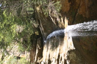 Canon EOS DIGITAL REBEL, 2005:04:17 13:16:19 -- 1/80 sec, f/6.3.  No Flash.3072x2048 Off.