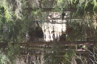 Canon EOS DIGITAL REBEL, 2005:04:17 13:20:08 -- 1/60 sec, f/5.0.  No Flash.3072x2048 Off.