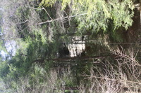 Canon EOS DIGITAL REBEL, 2005:04:17 13:20:16 -- 1/80 sec, f/5.0.  No Flash.3072x2048 Off.