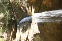 Canon EOS DIGITAL REBEL, 2005:04:17 13:20:46 -- 1/20 sec, f/11.0.  No Flash.3072x2048 Off.