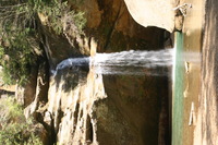 Canon EOS DIGITAL REBEL, 2005:04:17 13:23:11 -- 1/25 sec, f/11.0.  No Flash.3072x2048 Off.