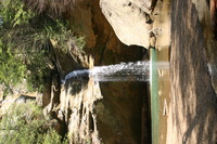 Canon EOS DIGITAL REBEL, 2005:04:17 13:23:17 -- 1/100 sec, f/5.6.  No Flash.3072x2048 Off.