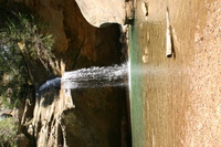 Canon EOS DIGITAL REBEL, 2005:04:17 13:25:05 -- 1/100 sec, f/6.3.  No Flash.3072x2048 Off.