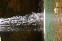 Canon EOS DIGITAL REBEL, 2005:04:17 13:25:11 -- 1/125 sec, f/6.3.  No Flash.3072x2048 Off.