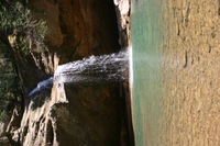 Canon EOS DIGITAL REBEL, 2005:04:17 13:26:45 -- 1/125 sec, f/7.1.  No Flash.3072x2048 Off.