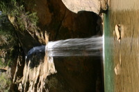 Canon EOS DIGITAL REBEL, 2005:04:17 13:30:17 -- 1/10 sec, f/25.0.  No Flash.3072x2048 Off.