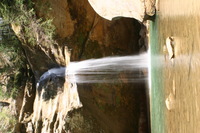 Canon EOS DIGITAL REBEL, 2005:04:17 13:30:36 -- 1/5 sec, f/25.0.  No Flash.3072x2048 Off.