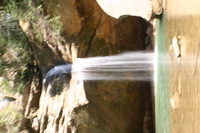 Canon EOS DIGITAL REBEL, 2005:04:17 13:30:55 -- 1/4 sec, f/25.0.  No Flash.3072x2048 Off.