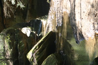 Canon EOS DIGITAL REBEL, 2005:04:17 13:39:30 -- 1/40 sec, f/5.6.  No Flash.3072x2048 Off.