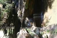 Canon EOS DIGITAL REBEL, 2005:04:17 13:41:23 -- 1/40 sec, f/5.6.  No Flash.3072x2048 Off.