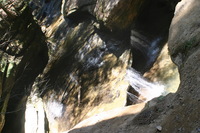 Canon EOS DIGITAL REBEL, 2005:04:17 13:42:22 -- 1/30 sec, f/7.1.  No Flash.3072x2048 Off.