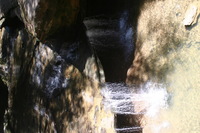 Canon EOS DIGITAL REBEL, 2005:04:17 13:43:25 -- 1/60 sec, f/5.6.  No Flash.3072x2048 Off.