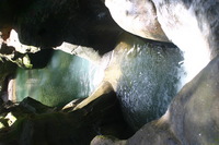 Canon EOS DIGITAL REBEL, 2005:04:17 14:18:58 -- 1/40 sec, f/5.6.  No Flash.3072x2048 Off.