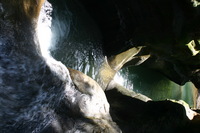 Canon EOS DIGITAL REBEL, 2005:04:17 14:20:03 -- 1/40 sec, f/8.0.  No Flash.3072x2048 Off.