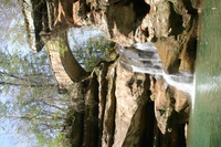 Canon EOS DIGITAL REBEL, 2005:04:17 14:24:36 -- 1/15 sec, f/20.0.  No Flash.3072x2048 Off.