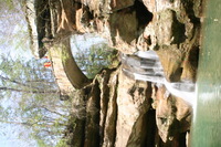 Canon EOS DIGITAL REBEL, 2005:04:17 14:24:48 -- 1/8 sec, f/22.0.  No Flash.3072x2048 Off.