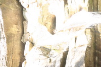 Canon EOS DIGITAL REBEL, 2005:04:17 15:45:53 -- 1/30 sec, f/5.0.  No Flash.3072x2048 Off.