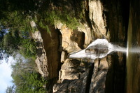 Canon EOS DIGITAL REBEL, 2005:04:17 15:53:48 -- 1/15 sec, f/22.0.  No Flash.3072x2048 Off.