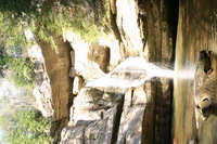 Canon EOS DIGITAL REBEL, 2005:04:17 15:55:11 -- 1/15 sec, f/11.0.  No Flash.3072x2048 Off.