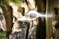 Canon EOS DIGITAL REBEL, 2005:04:17 15:56:01 -- 1/250 sec, f/3.5.  No Flash.3072x2048 Off.