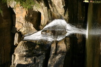 Canon EOS DIGITAL REBEL, 2005:04:17 15:56:41 -- 1/15 sec, f/25.0.  No Flash.3072x2048 Off.