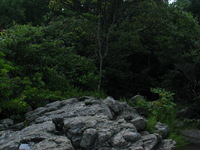 Canon PowerShot G3, 2005:07:06 10:13:53 -- 1/640 sec, f/4.0.  No Flash, Compulsory.2272x1704 Off.