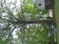 Canon PowerShot G3, 2005:08:13 09:11:30 -- 1/50 sec, f/2.8.  No Flash, Auto.2272x1704 Red-Eye Reduction (Auto).