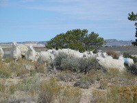 Canon PowerShot G3, 2005:10:02 15:39:06 -- 1/1250 sec, f/4.0.  No Flash, Auto.2272x1704 Red-Eye Reduction (Auto).