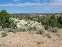 Canon PowerShot G3, 2005:10:02 15:41:06 -- 1/1250 sec, f/4.5.  No Flash, Auto.2272x1704 Red-Eye Reduction (Auto).