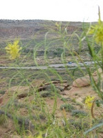 Canon PowerShot G3, 2005:10:02 18:36:48 -- 1/250 sec, f/4.0.  No Flash, Auto.2272x1704 Red-Eye Reduction (Auto).