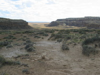 Canon PowerShot G3, 2005:10:02 18:49:27 -- 1/800 sec, f/4.0.  No Flash, Auto.2272x1704 Red-Eye Reduction (Auto).