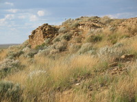 Canon PowerShot G3, 2005:10:02 19:06:44 -- 1/1250 sec, f/4.0.  No Flash, Auto.2272x1704 Red-Eye Reduction (Auto).