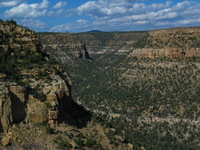 Canon PowerShot G3, 2005:10:03 18:08:36 -- 1/640 sec, f/8.0.  No Flash, Compulsory.2272x1704 Off.