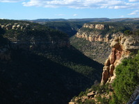 Canon PowerShot G3, 2005:10:03 18:50:34 -- 1/250 sec, f/8.0.  No Flash, Compulsory.2272x1704 Off.