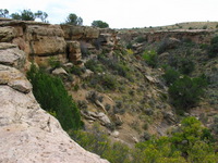 Canon PowerShot G3, 2005:10:04 15:23:29 -- 1/160 sec, f/8.0.  No Flash, Compulsory.2272x1704 Off.